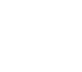 Alluxio Logo
